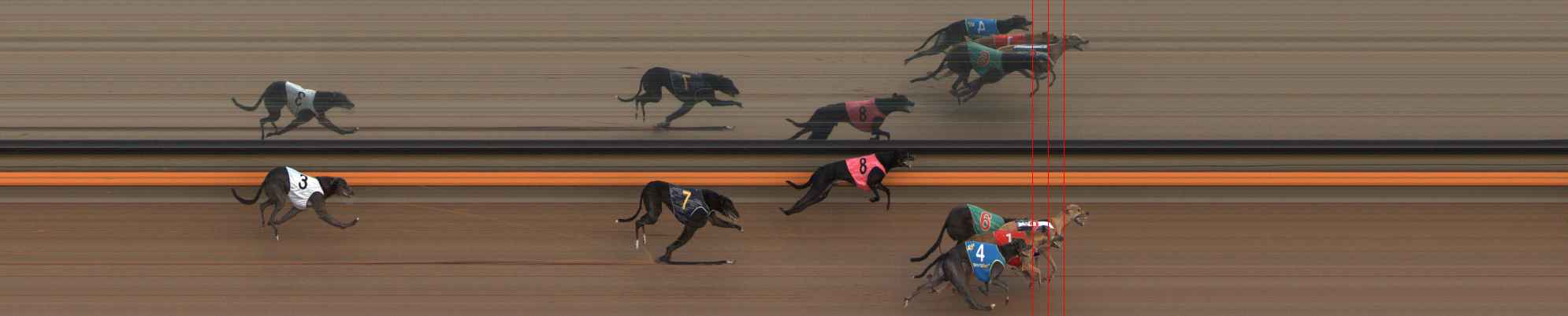 Race result finish photo